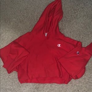 Champion crop top hoodie